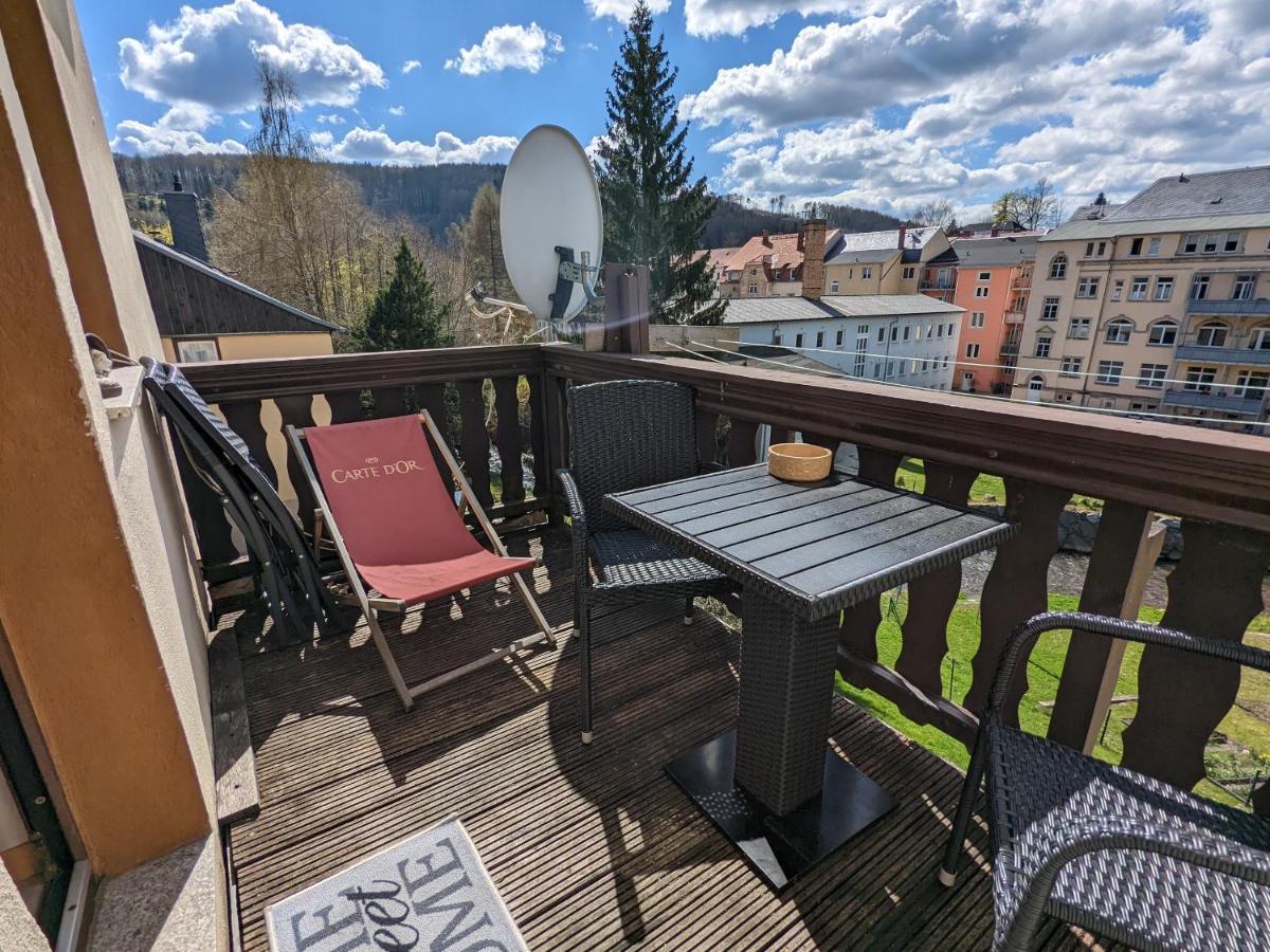 Urlaubstraum Mit Pool, Terrasse & Fluss Im Garten - Ut Apartment Sebnitz Exterior photo