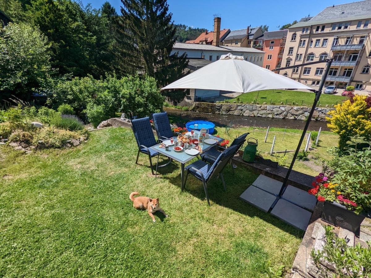 Urlaubstraum Mit Pool, Terrasse & Fluss Im Garten - Ut Apartment Sebnitz Exterior photo