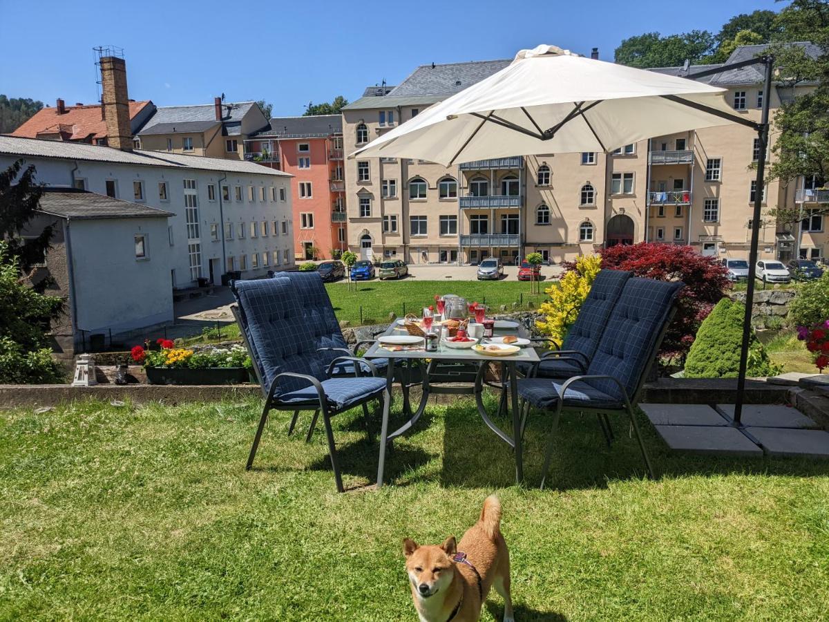 Urlaubstraum Mit Pool, Terrasse & Fluss Im Garten - Ut Apartment Sebnitz Exterior photo