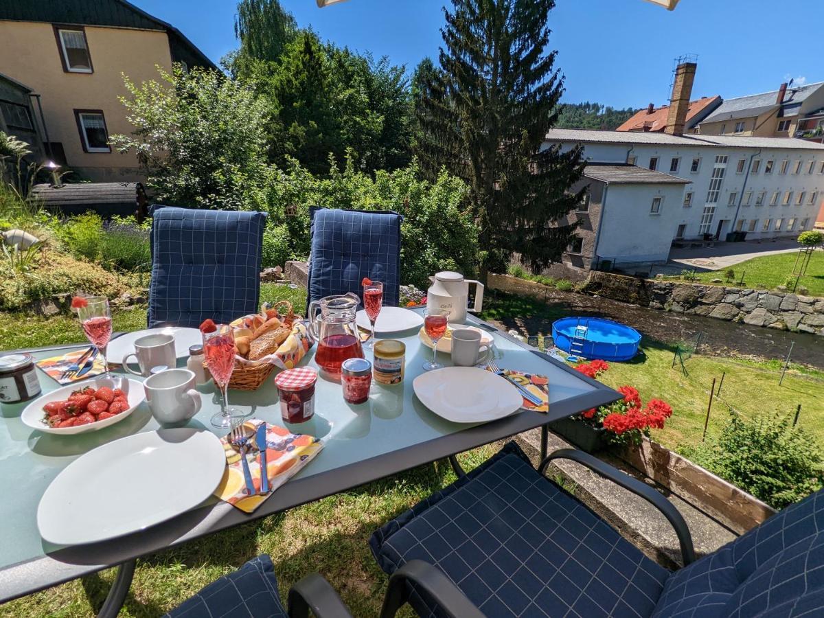 Urlaubstraum Mit Pool, Terrasse & Fluss Im Garten - Ut Apartment Sebnitz Exterior photo