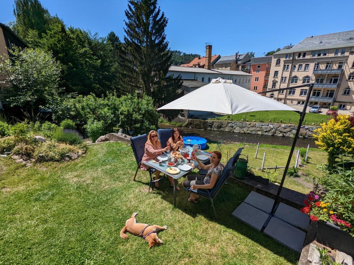 Urlaubstraum Mit Pool, Terrasse & Fluss Im Garten - Ut Apartment Sebnitz Exterior photo